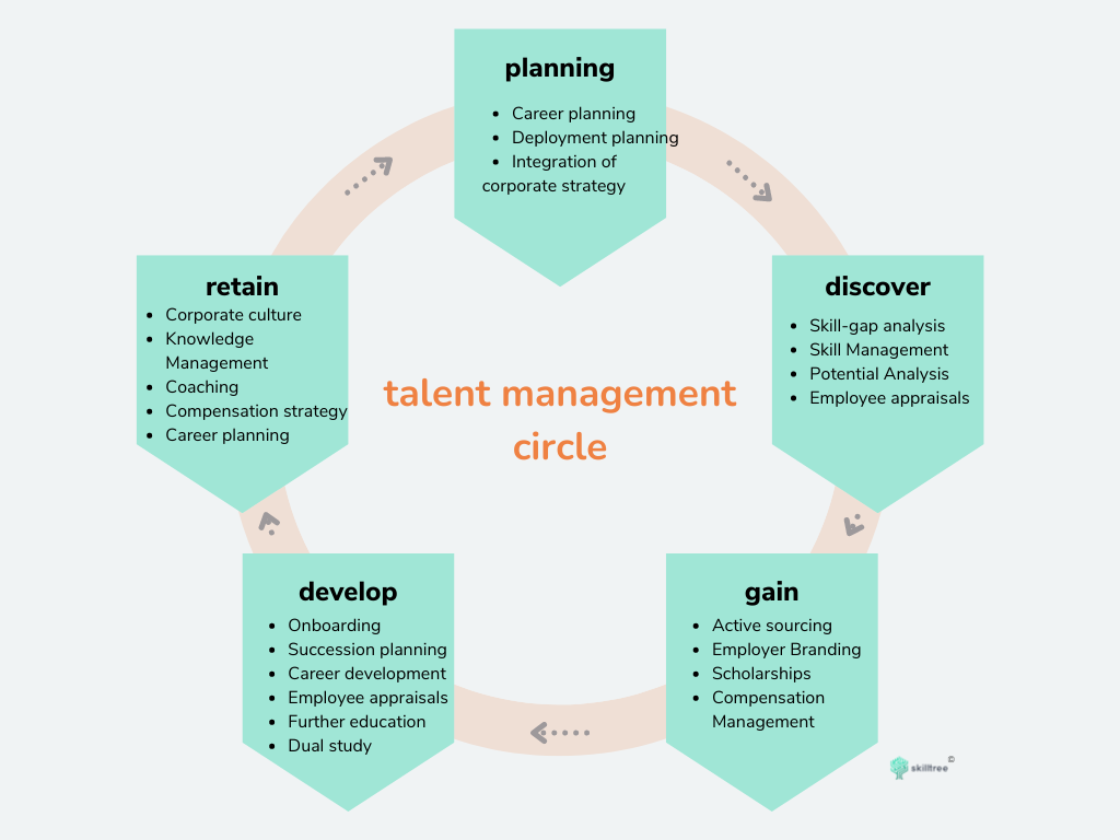 talent management process circle